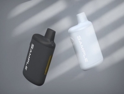 Vape Disposable Blizzard Bv17 Disposable Box