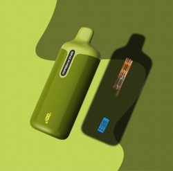 Maskking 12000 Puffs Disposable Vape Brands