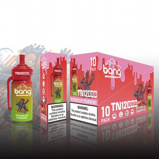 Top Picks 2024 Disposable Bang Tn12000jj Vape Pens Wholesale