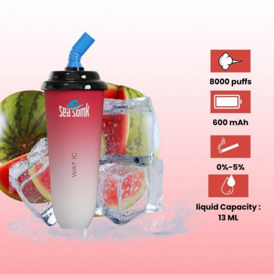 Top Picks 2024 Disposable Vape Seasomk 