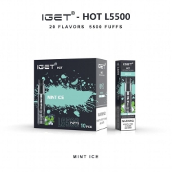 Big Puff Bar Plus IGET Iget Hot L5500 3000 Puffs Vape