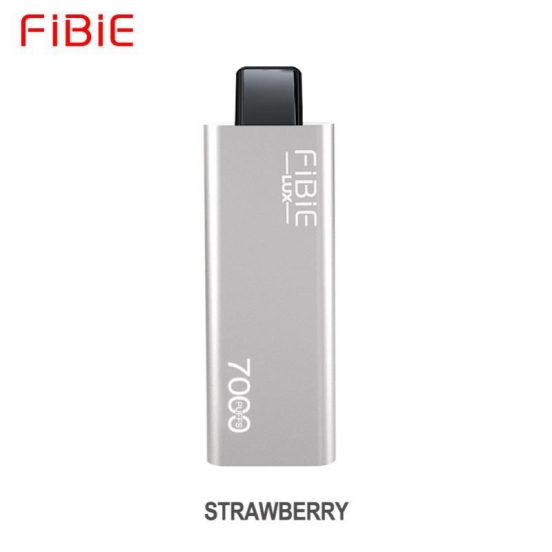 2024 Bulk Price FiBie Neo 15000 Vape Pen 