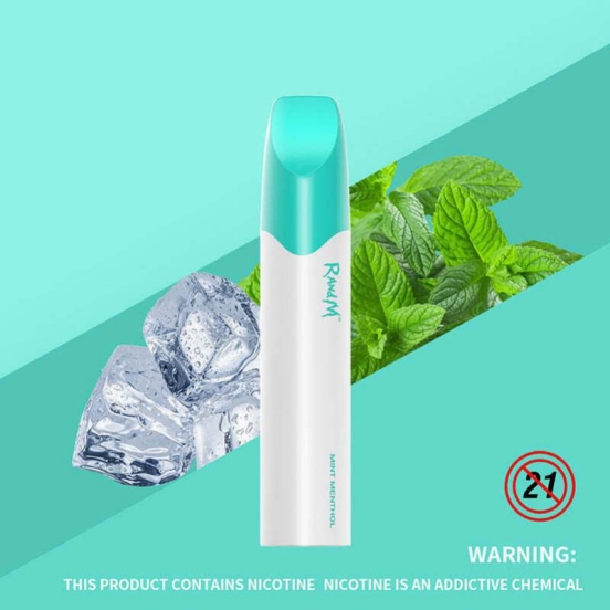 Wholesale Disposable Vapes Randm 4800 Puffs