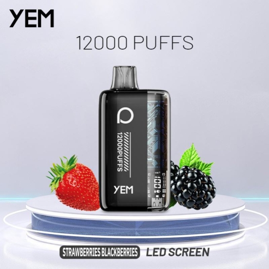 Wholesale YEM Bm12s-27bs 12000 Puffs Disposable Vape Pens