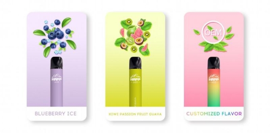 Wholesale Disposable Vapes Ocitytimes 600 Puffs