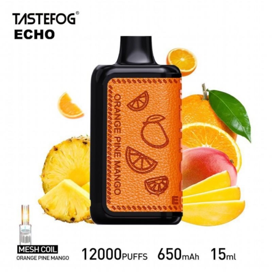 TASTEFOG/OEM Tastefog Echo Vape