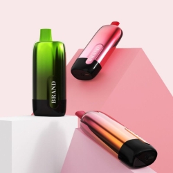 OEM 10k 10000 Puffs Disposable E-cigarette Nicotine