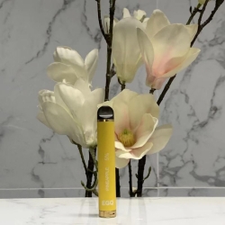 Disposable EGQ D18 800 Puffs Vape