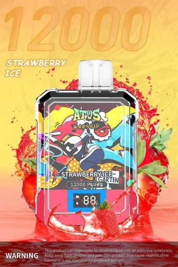 Oem Baish Atvs 12000 Disposable Big Hit Vape