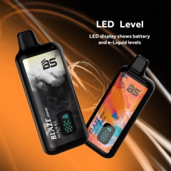 Disposable Vapes Breze Bs Blaze 10000