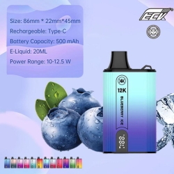 Big Puff Pen Plus Energy Eck Kk 12000 Puffs Vape