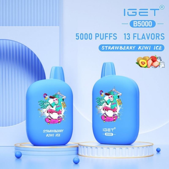 Disposable Vape Wholesale Iget 