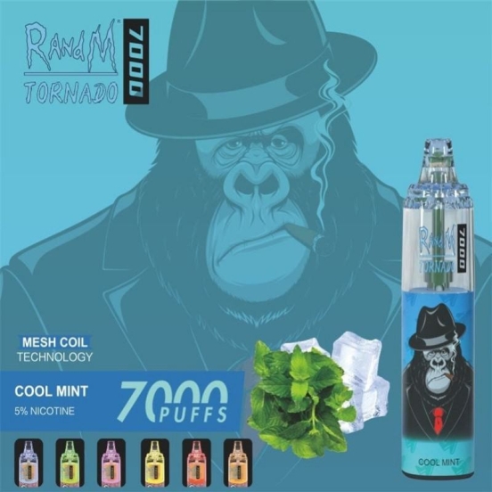 2024 Bulk Pricing Wholesale Disposable FOCOL Randm Tornado 7000 Puffs Vapes