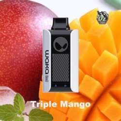 Vapes WAKA Sopro 10000