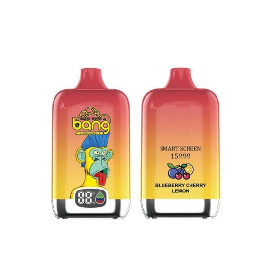 Competitive Pricing Bang Vapes Wholesale Smart Screen 15000