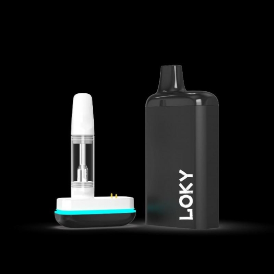 Competitive Pricing Smok Loky Vape Big Puff Pens Plus