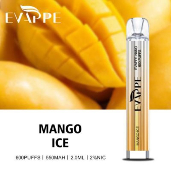 2024 Best Vape Pen Evappe Nano 600 Vape Disposable Wholesale
