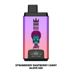 Wholesale Disposable Bang Box 50000 Puffs Nederland BANG BOX Vape Pro