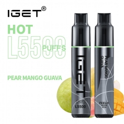 Disposable Iget 5500 Puffs E-cigarette Nicotine