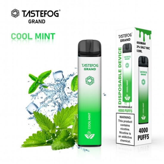 Wholesale Tastefog Tastefog Grand 4000 Puffs Vape Pen