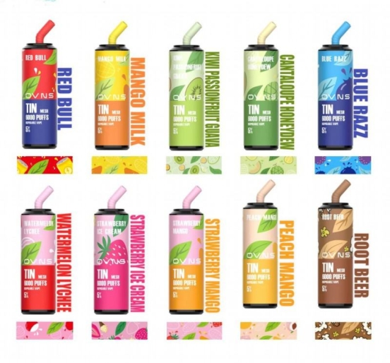Wholesale Price Disposable OVNS Ovns Tin 6000 Vape Pens