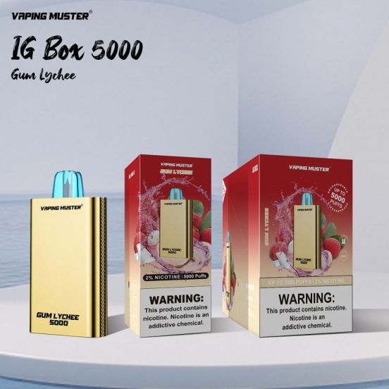 Bulk Price Niimoo Vmigbox 5000 Puffs Vape Bar