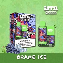 Disposable R&M Vapes Ista 12000