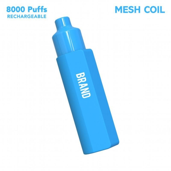 s Brand Custom A19 8000 Puffs Disposable Vape Pod