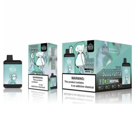 Bestseller Wholesale Price Bang 8000 Puffs Vape