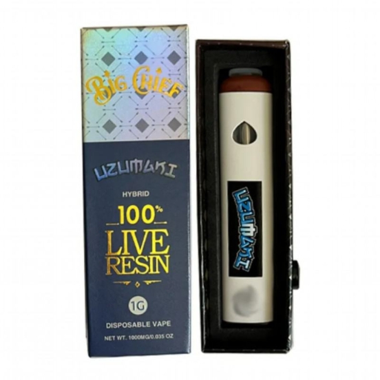 2024's Premium Vape Pen Disposable Vape Wholesale OEM Big Chief Empty Disposable