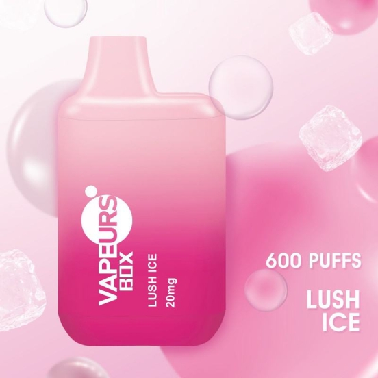 Competitive Pricing urs 600 Puffs Disposable Vapes Wholesale