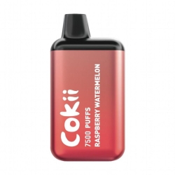 Cokii Disposable Vape Brands Cokii X 7500 Puffs