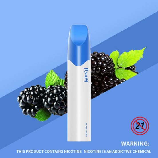 Wholesale Disposable Vapes Randm 4800 Puffs