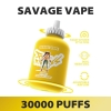 Savage Disposable Vapes Fitnes 30000 Puffs