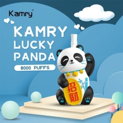 Baish Kamry Lucky Panda8000 Vape Pens