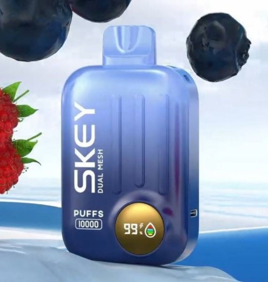 Top Picks 2024 Skey Ismart Vape