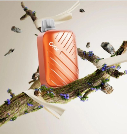 Best Okk Traverller 10000 Puffs Pens