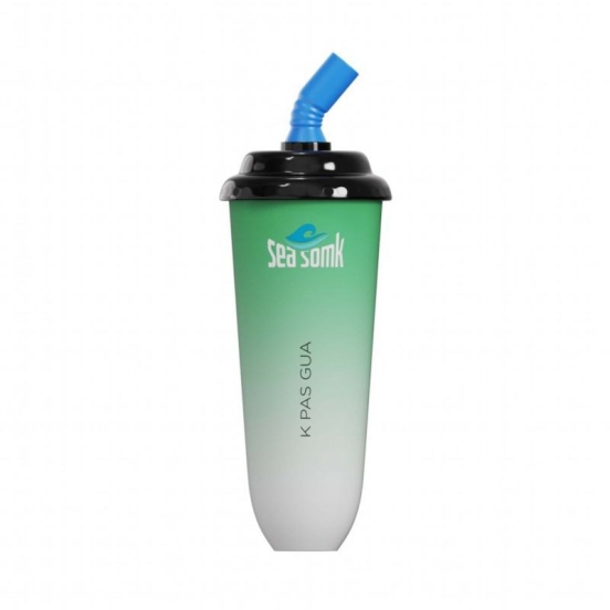 Top Picks 2024 Disposable Vape Seasomk 