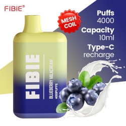 Disposable Vape Pen FIBIE 4000 Puffs