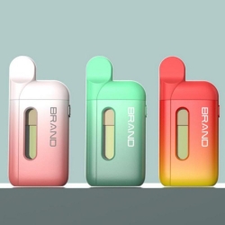  Bv6 Disposable Vape Device