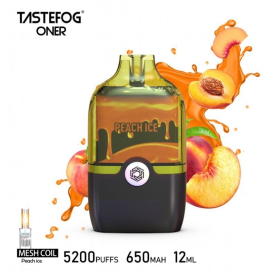 2024 Best Selling Wholesale Disposable Vape Pens Tastefog 5200 Puffs
