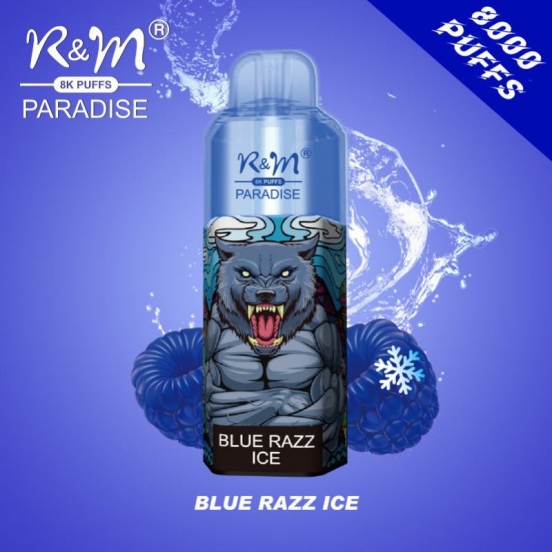 Randm Disposable Vapes R&m Paradise 8000 9000 Puffs Wholesale