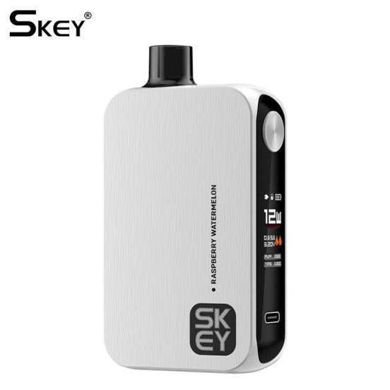  Skey Master Disposable Smooth Hit Vape