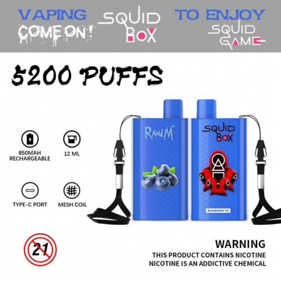 2024's premium vape pen wholesale disposable vape Randm squid box