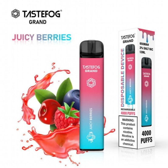 Geek Tastefog Grand 4000 Puffs Vape