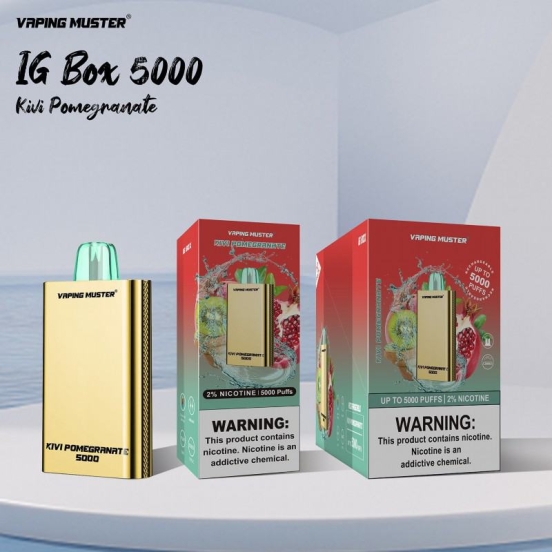 Bulk Price Niimoo Vmigbox 5000 Puffs Vape Bar