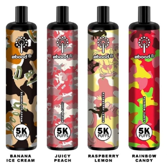 rixe 5000 Disposable Vape Wholesale Price