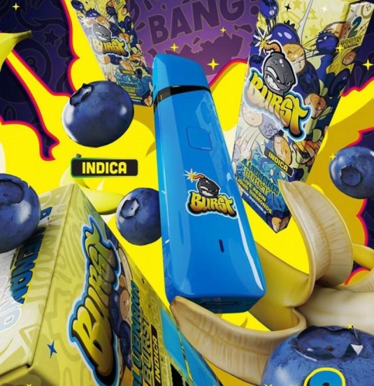 Competitive Pricing Pen Vape La /burst