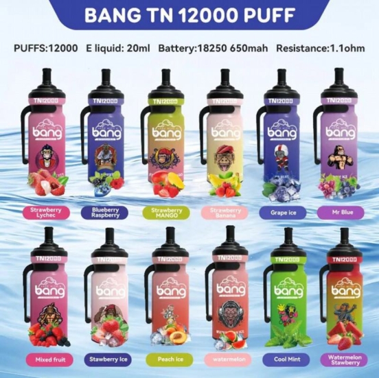 Premium Vape Pen Bang Wholesale Disposable Vapes 12000tnk