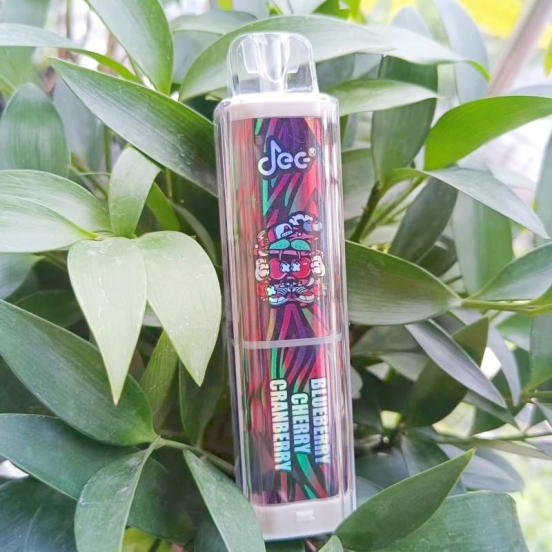 Best Vape Pen Jec 6600 Puffs Wholesale